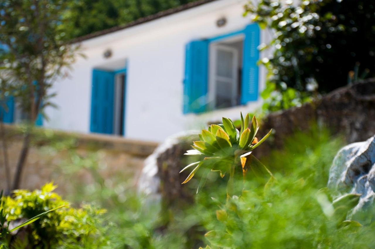 The Olive Cottage - Ithaca Вати Экстерьер фото
